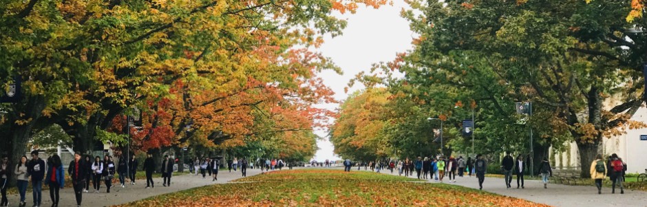 Fall view of UBC Point Grey campus